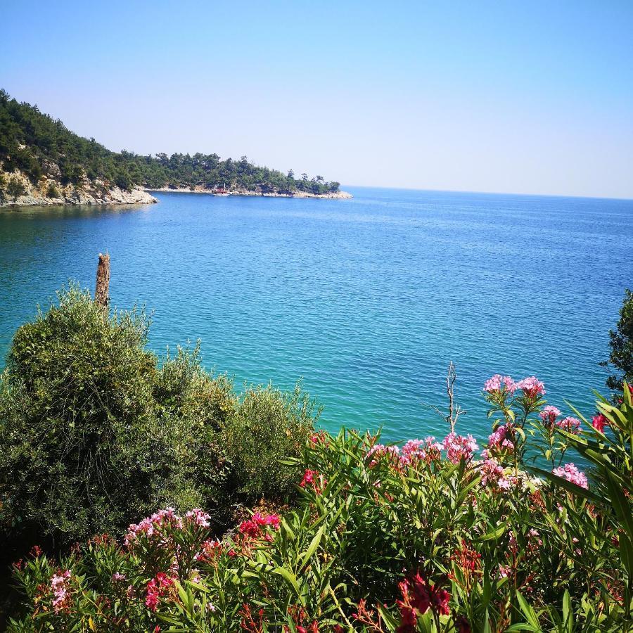 Villa Bel Air Skala Potamia  Exterior foto